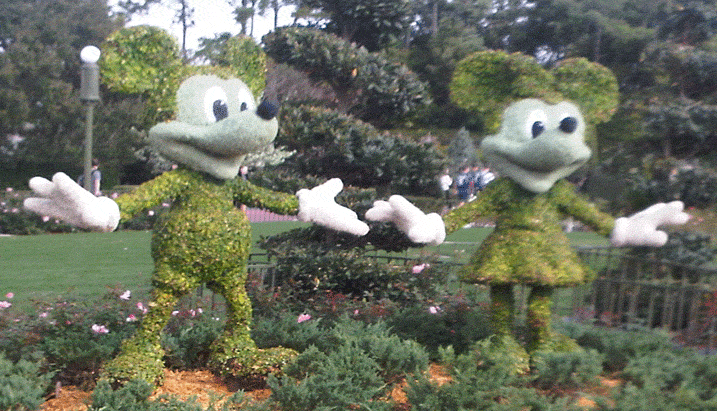 disney vacation packages